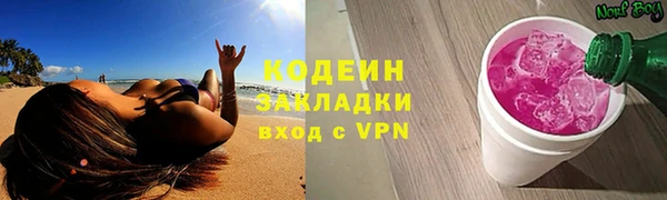 хмурый Алексин