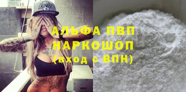 хмурый Алексин