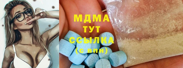 хмурый Алексин