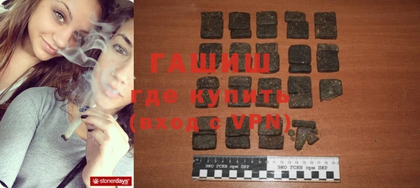 хмурый Алексин