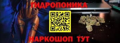 крисы Пугачёв