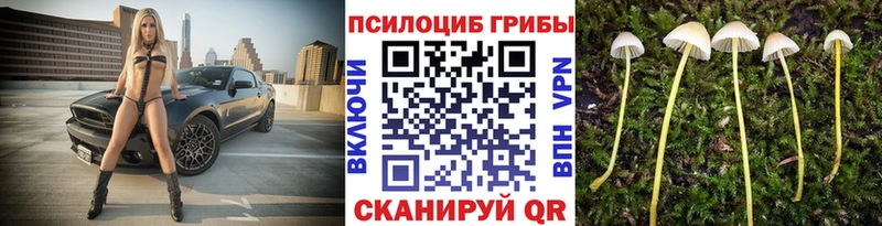 Псилоцибиновые грибы MAGIC MUSHROOMS  купить закладку  Арзамас 